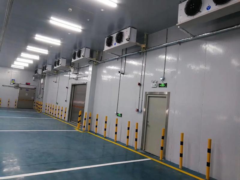 智赋·冷储绿启新程——2026年中国冷库行业高质量发展核心趋势解析及服务指南