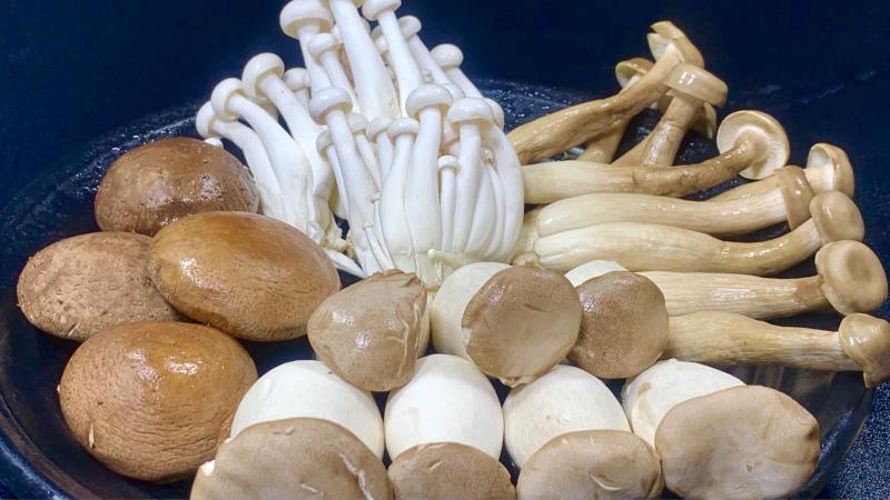 濮阳菌菇冷库保鲜方式及建造温度